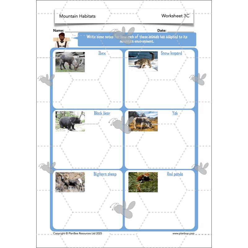 PlanBee Mountain Science KS2 | Food Chains, Adaptation & Life Cycles