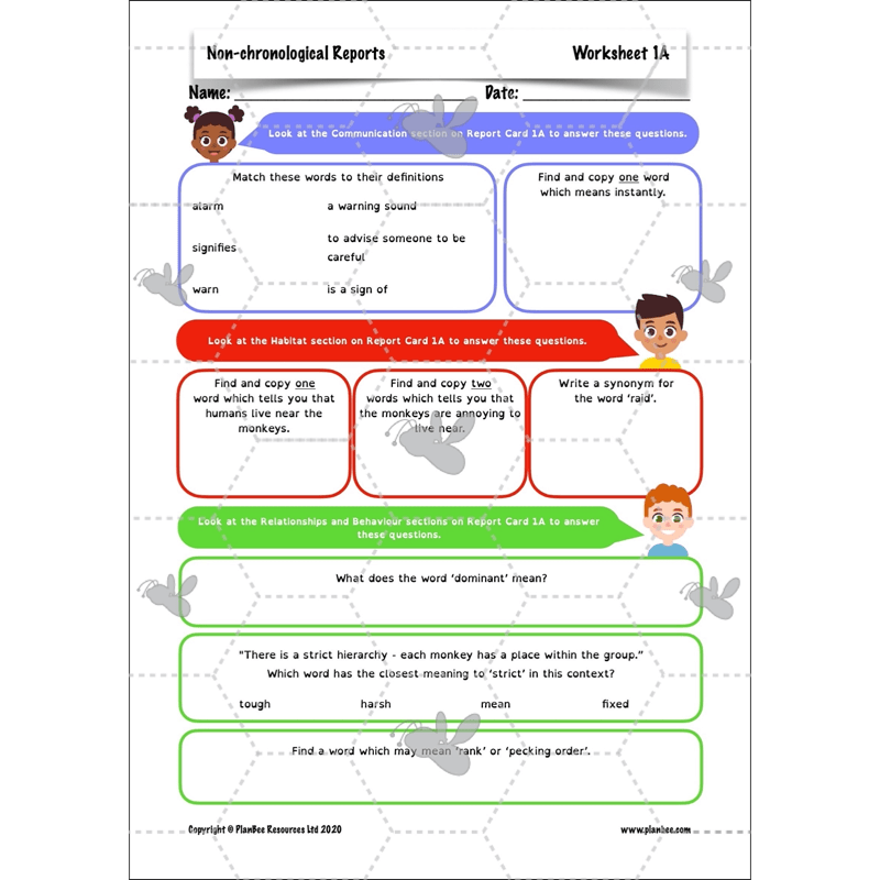 PlanBee Non-chronological Reports Year 6 English Planning