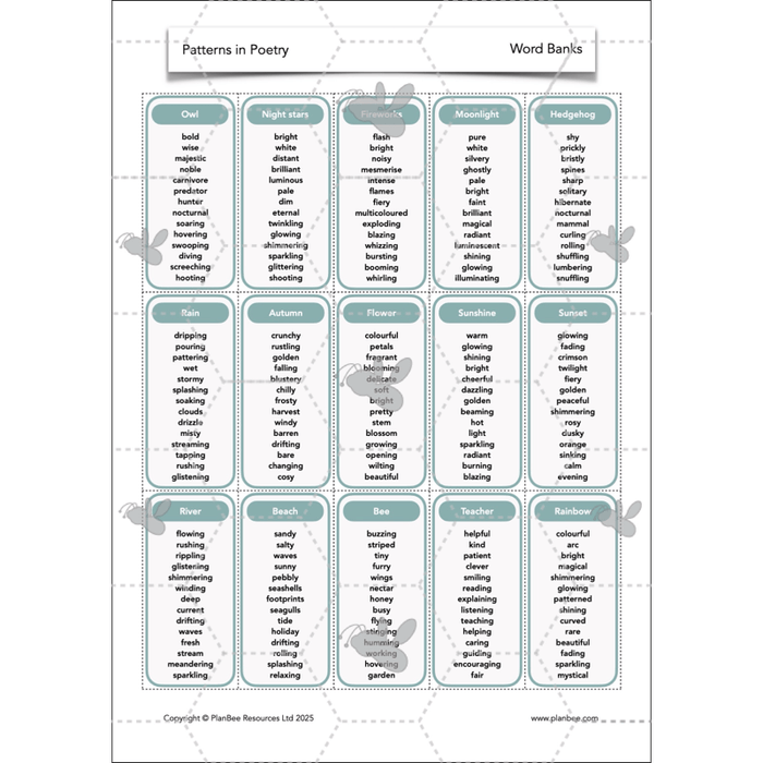 PlanBee Year 3 Patterns in Poetry | Investigating Types of Poems