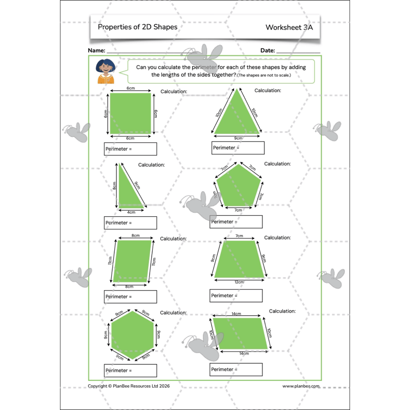 PlanBee Year 4 Properties of 2D Shapes KS2 Maths by PlanBee