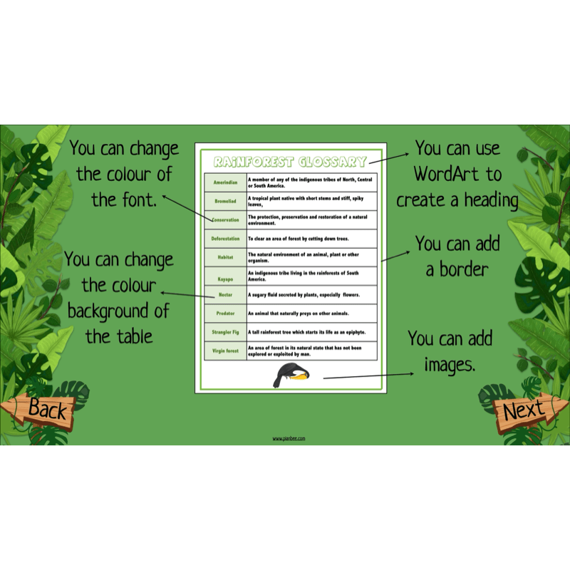 PlanBee The Rainforest Topic KS2 Enrichment Lesson Pack