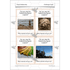 PlanBee Andy Goldsworthy KS1 Art Lesson Plans created by PlanBee