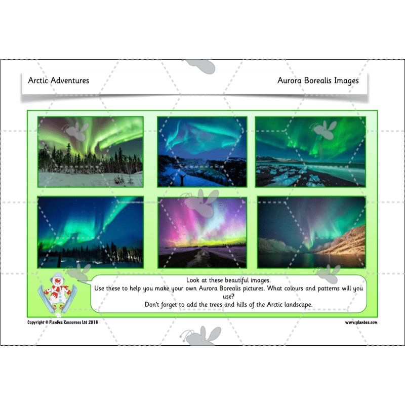 PlanBee In the Arctic Topic KS1 Enrichment Lesson Pack