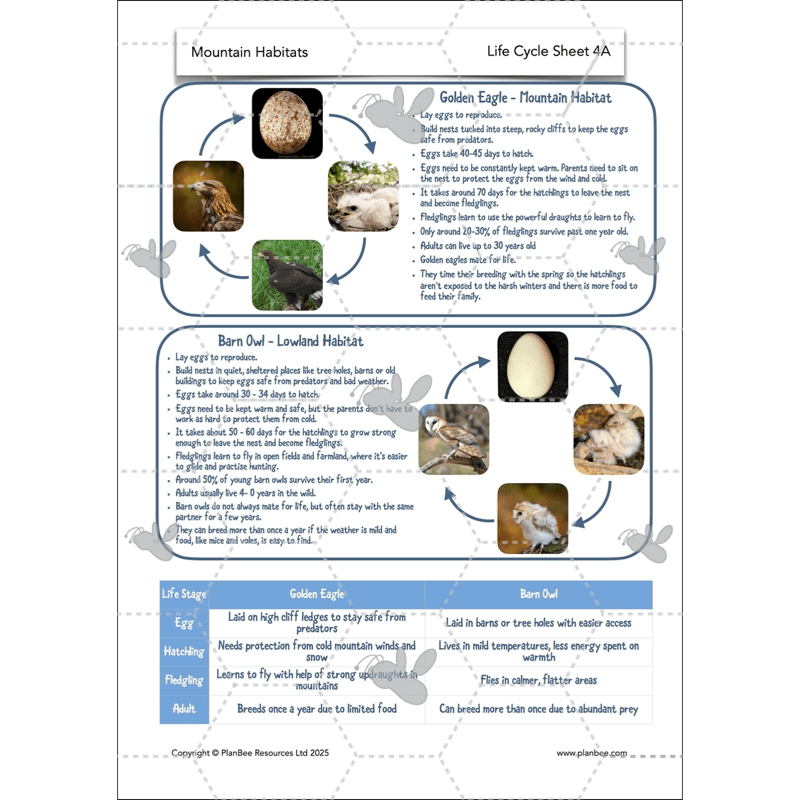 PlanBee Mountain Science KS2 | Food Chains, Adaptation & Life Cycles