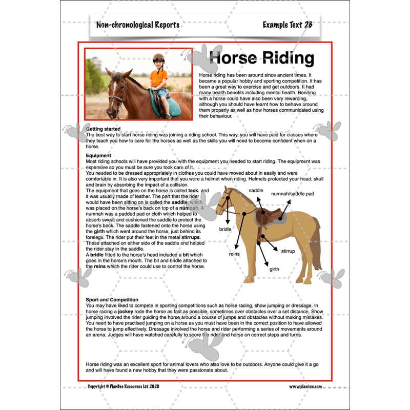PlanBee Non-chronological Reports Year 6 English Planning