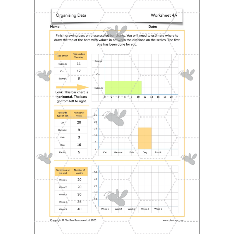PlanBee Year 3 Statistics Organising Data PlanBee Maths Lesson