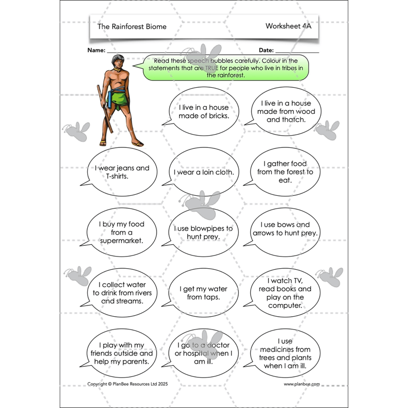 PlanBee The Rainforest Biome KS2 | Geography Lesson Pack