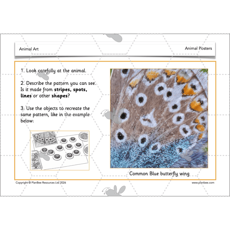 PlanBee Animal Art KS1 | Art Lesson Pack