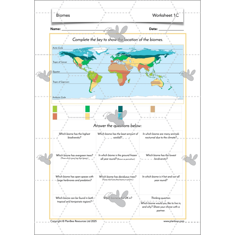 PlanBee Biomes KS2 Geography Lessons
