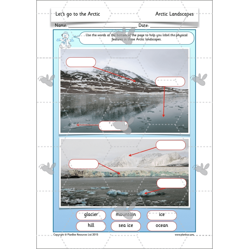 PlanBee Let's go to the Arctic KS1 Geography Lessons and Resources