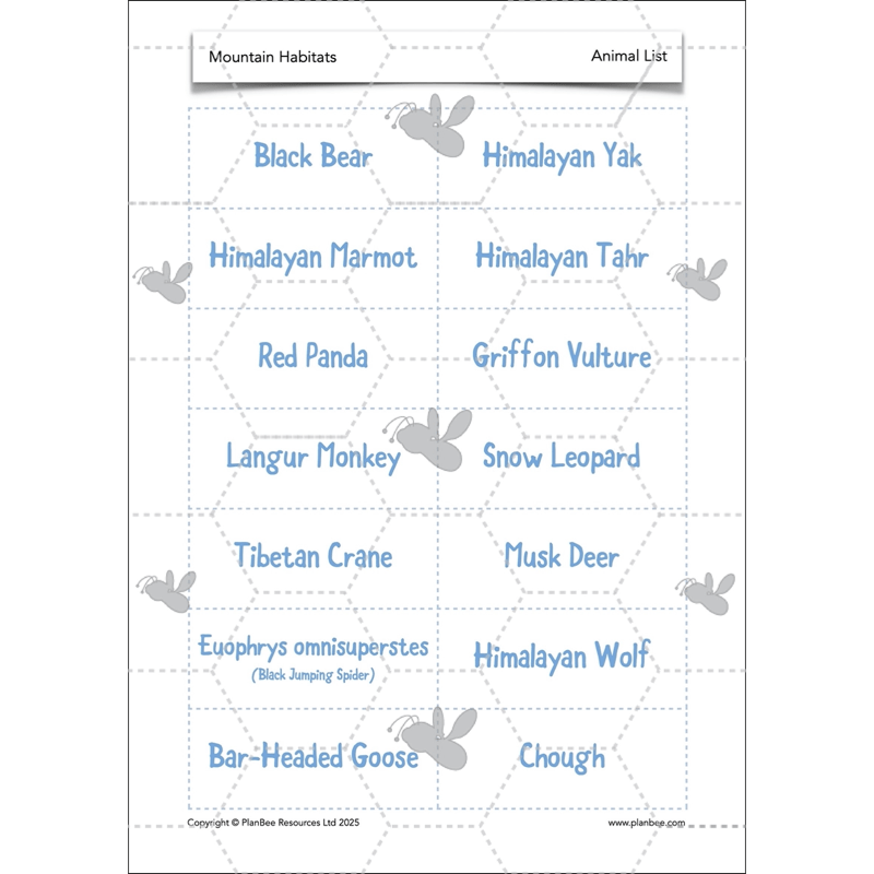 PlanBee Mountain Science KS2 | Food Chains, Adaptation & Life Cycles