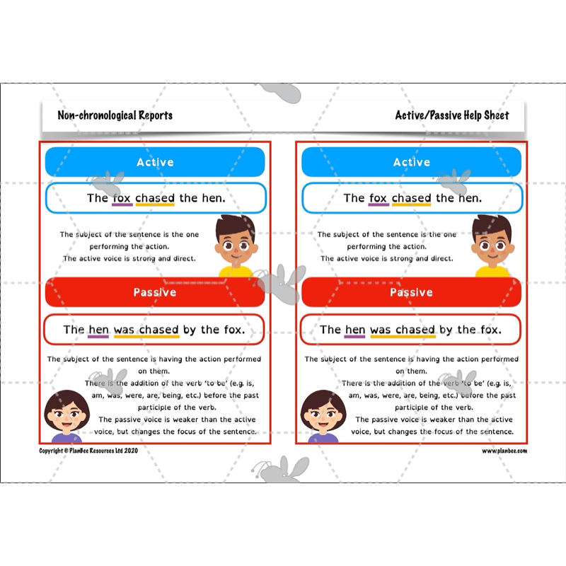 PlanBee Non-chronological Reports Year 6 English Planning