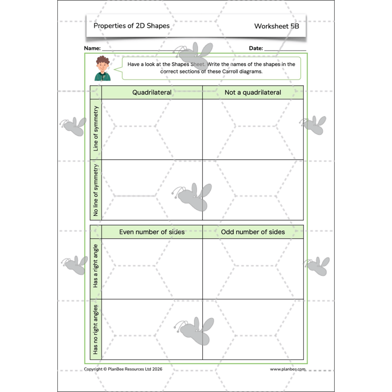 PlanBee Year 4 Properties of 2D Shapes KS2 Maths by PlanBee