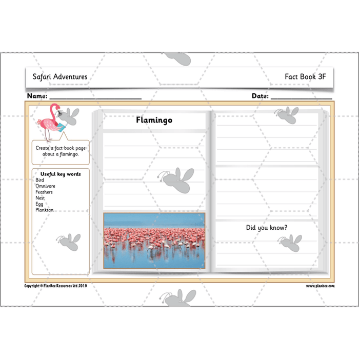 PlanBee Safari Adventures KS1 | English Lesson Pack