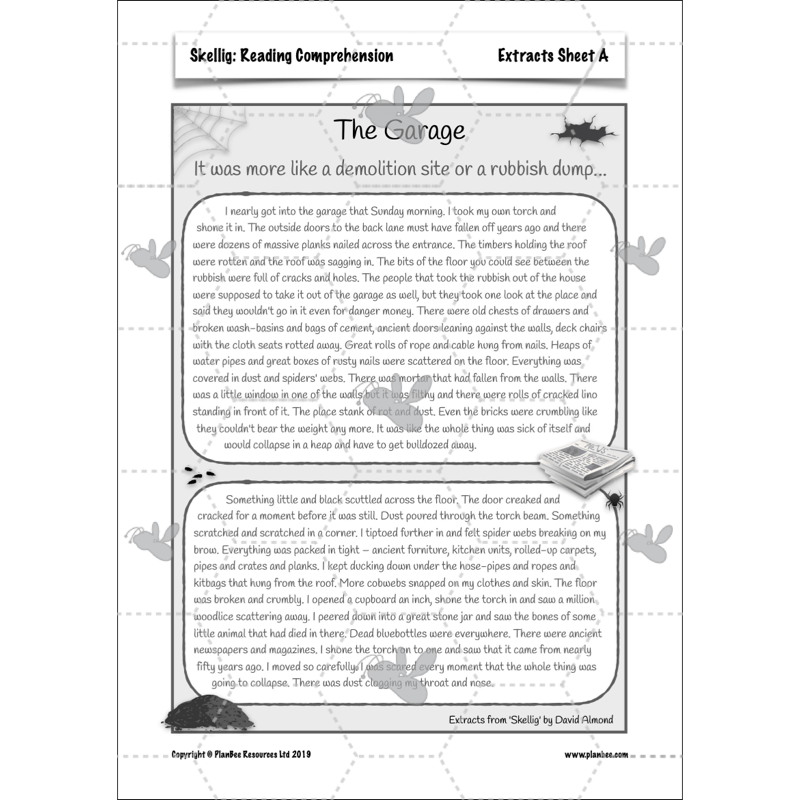 PlanBee Skellig: Reading Comprehension