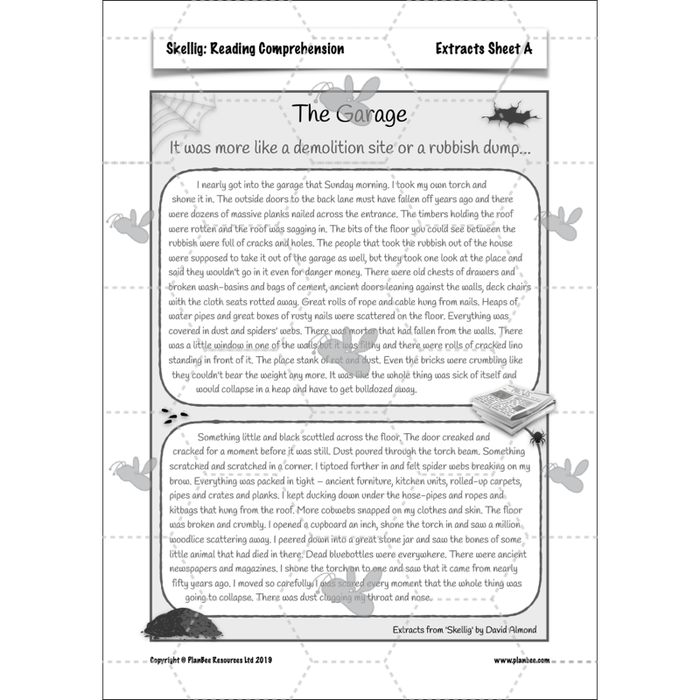 PlanBee Skellig: Reading Comprehension