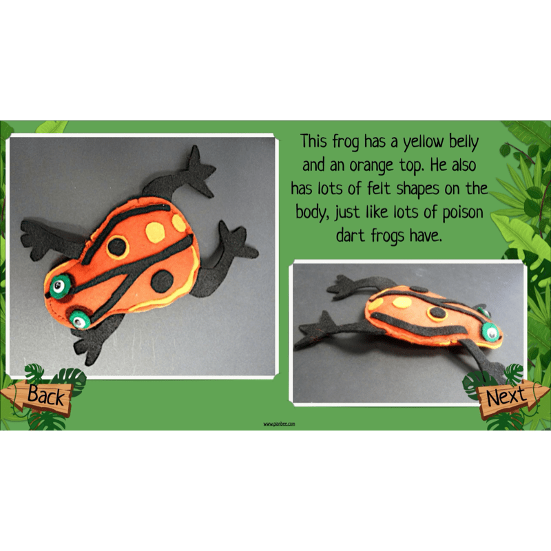 PlanBee The Rainforest Topic KS2 Enrichment Lesson Pack