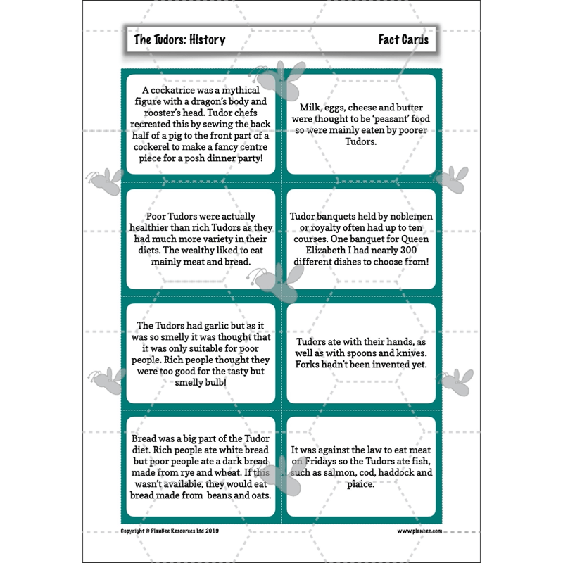 PlanBee The Tudors KS2 History Lessons and Resources