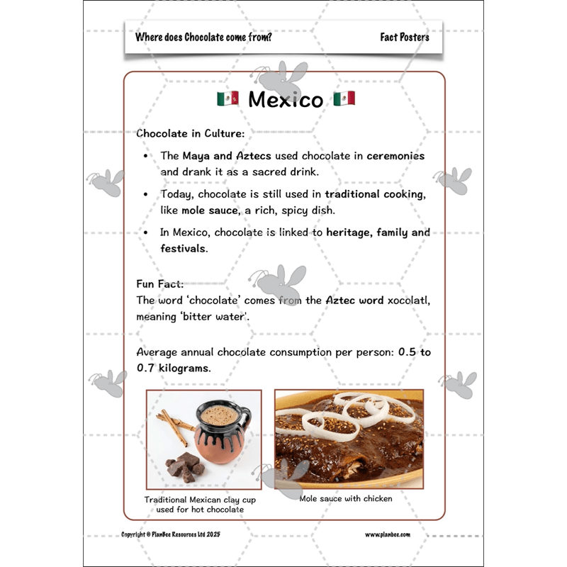PlanBee Where does Chocolate come from? | KS2 Geography lessons