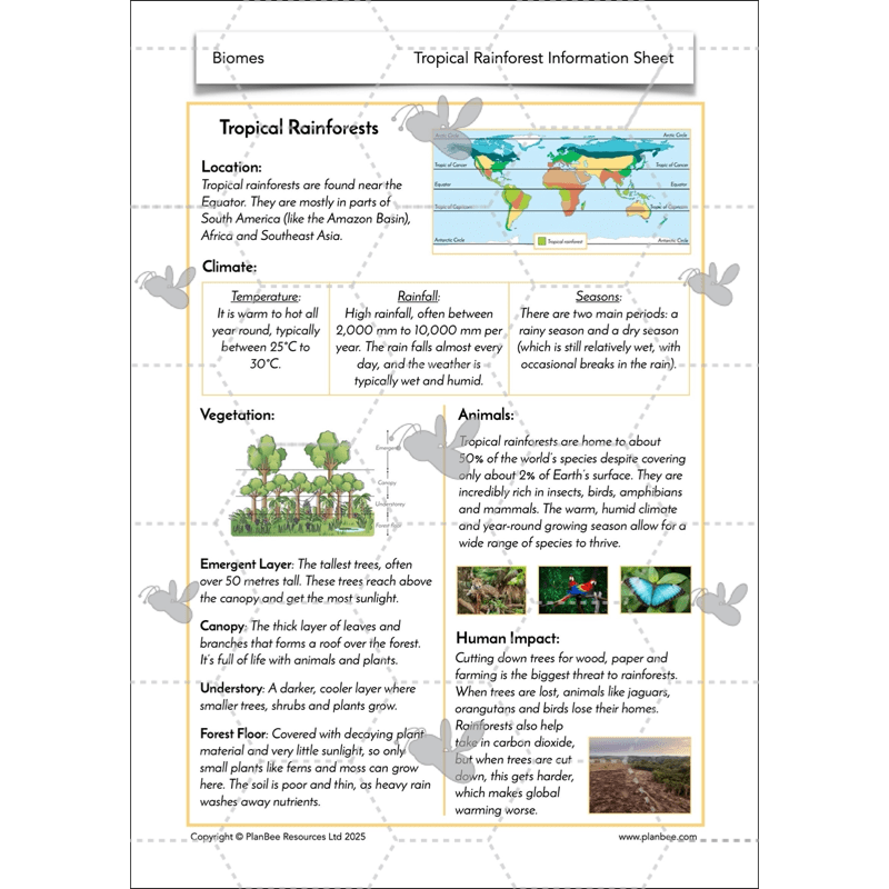 PlanBee Biomes KS2 Geography Lessons