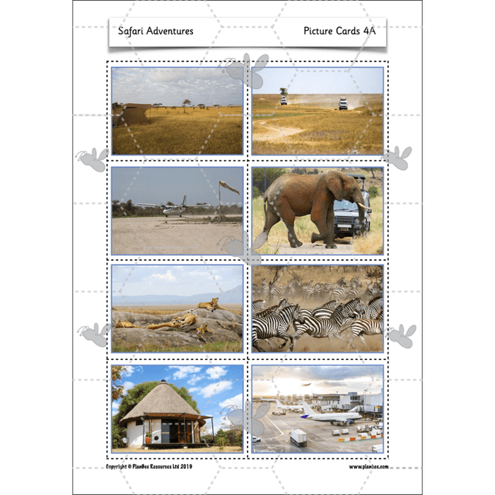 PlanBee Safari Adventures KS1 | English Lesson Pack