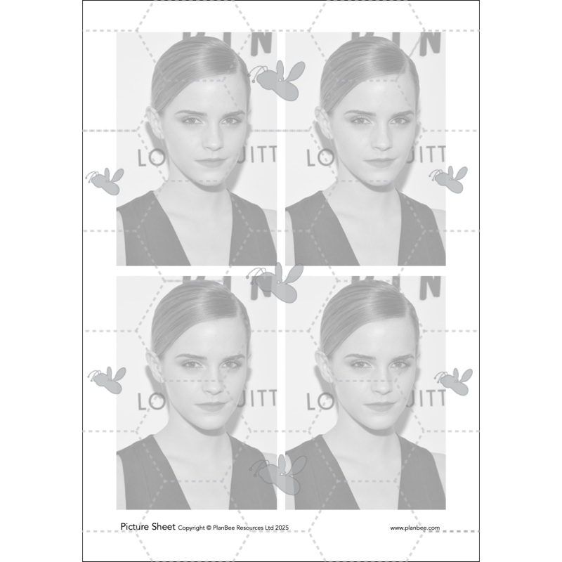 PlanBee Andy Warhol KS2 Art Lessons The Pop Art Movement | PlanBee