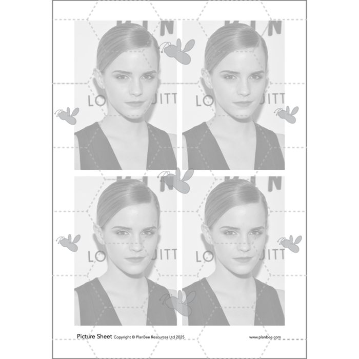 PlanBee Andy Warhol KS2 Art Lessons The Pop Art Movement | PlanBee