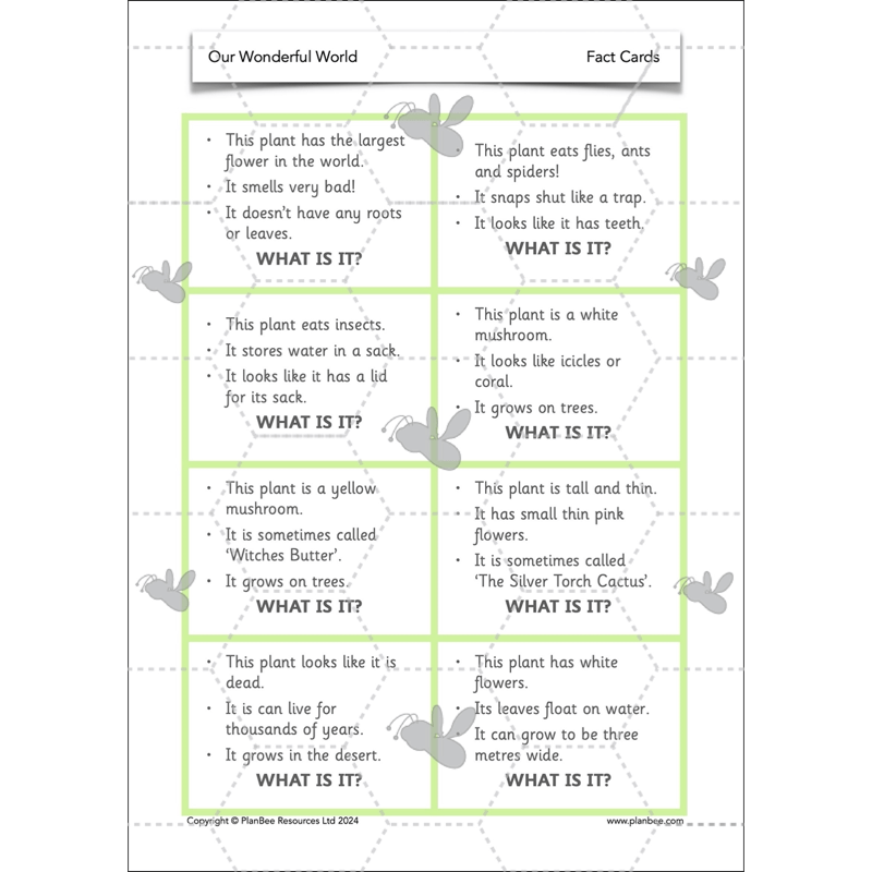 PlanBee Our Wonderful World - Creation Story KS1 RE Lessons | PlanBee