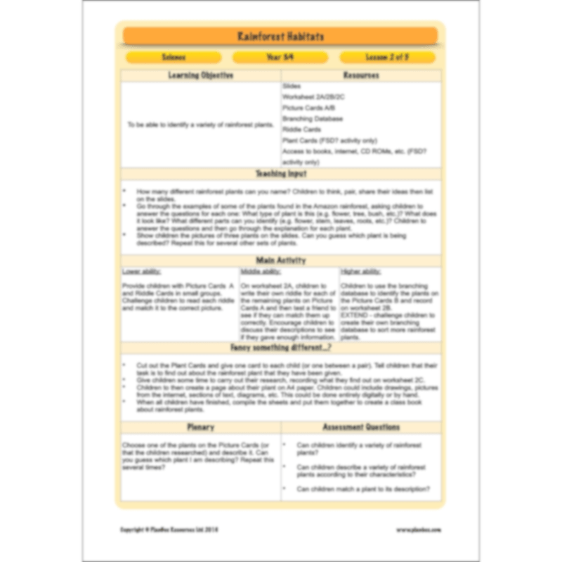 PlanBee Rainforest Habitats KS2 Science Lesson Pack