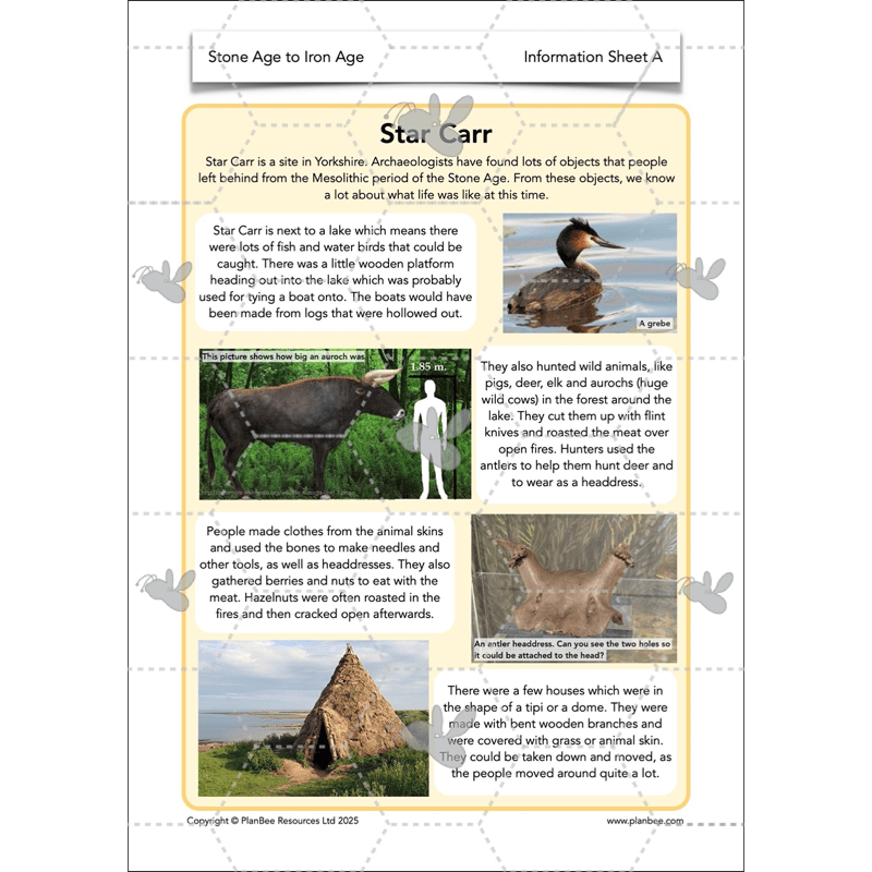 PlanBee Stone Age to Iron Age Year 3 and 4 | History Lessons KS2