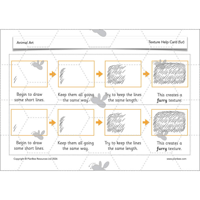 PlanBee Animal Art KS1 | Art Lesson Pack