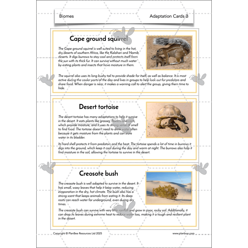 PlanBee Biomes KS2 Geography Lessons