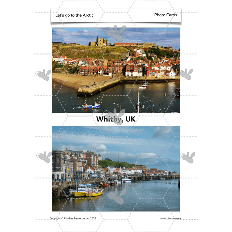 PlanBee Let's go to the Arctic KS1 Geography Lesson Pack