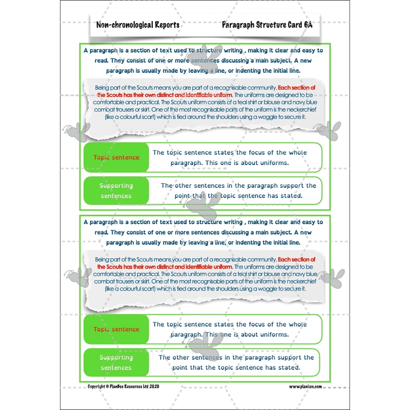 PlanBee Non-chronological Reports Year 6 English Planning