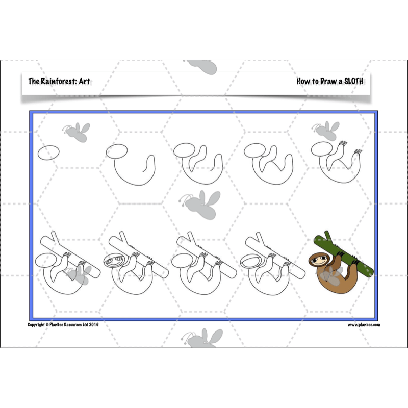 PlanBee The Rainforest Topic KS2 Enrichment Lesson Pack