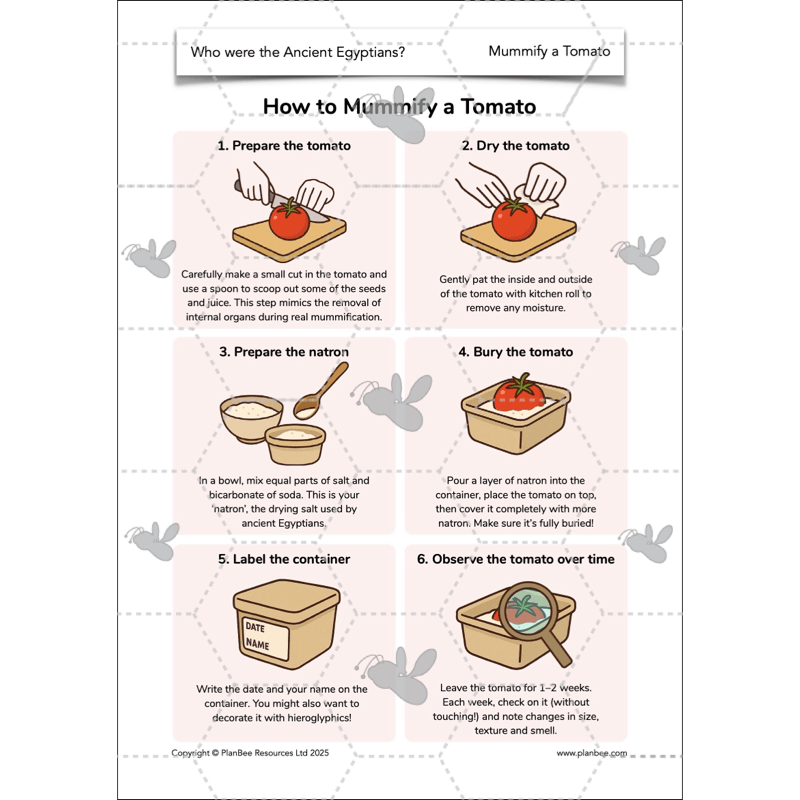 PlanBee Who were the Ancient Egyptians? KS2 History Lesson Pack