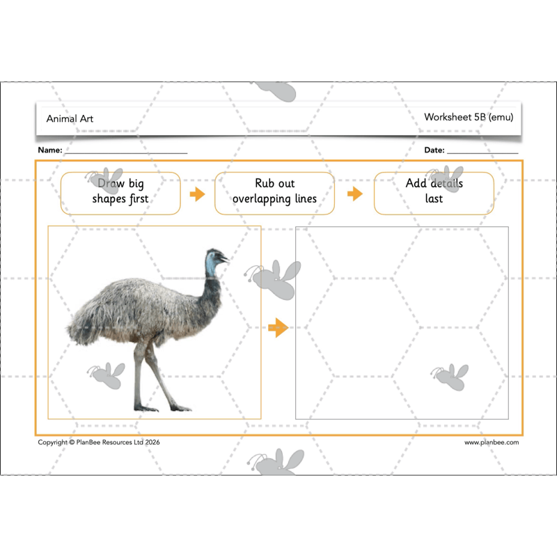 PlanBee Animal Art KS1 | Art Lesson Pack