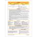 PlanBee Floodland: Reading Comprehension KS2 | Year 6 English Pack