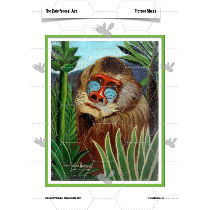 PlanBee The Rainforest Topic KS2 Enrichment Lesson Pack