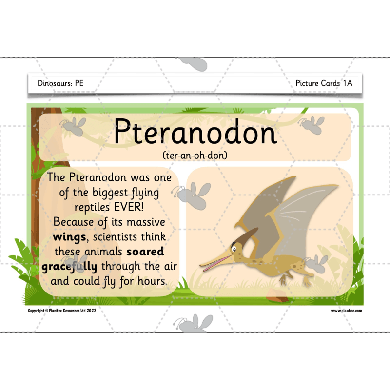PlanBee Dinosaurs KS1 Topic Enrichment Lesson Pack
