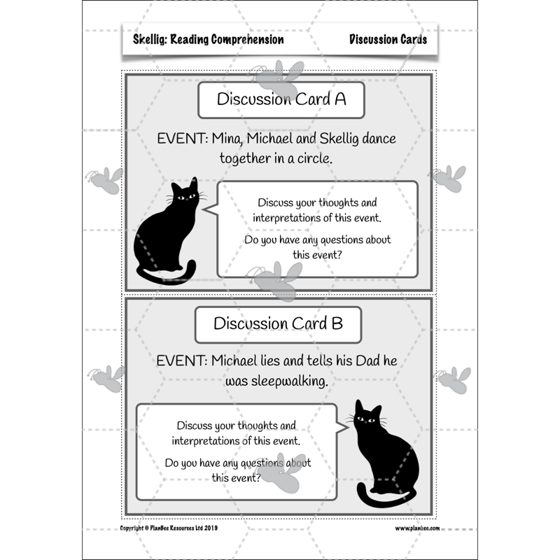 PlanBee Skellig: Reading Comprehension