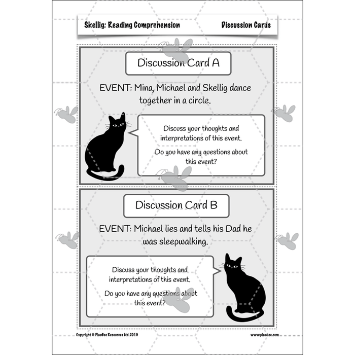 PlanBee Skellig: Reading Comprehension