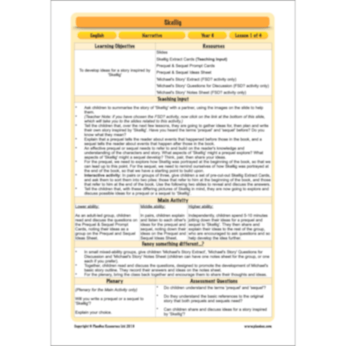 PlanBee Skellig: Narrative