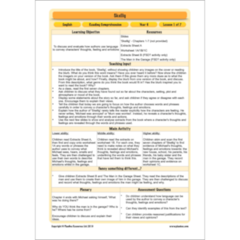 PlanBee Skellig: Reading Comprehension