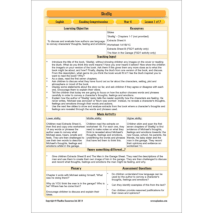 PlanBee Skellig: Reading Comprehension