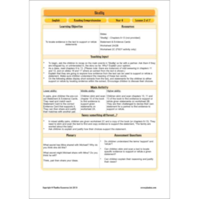 PlanBee Skellig: Reading Comprehension