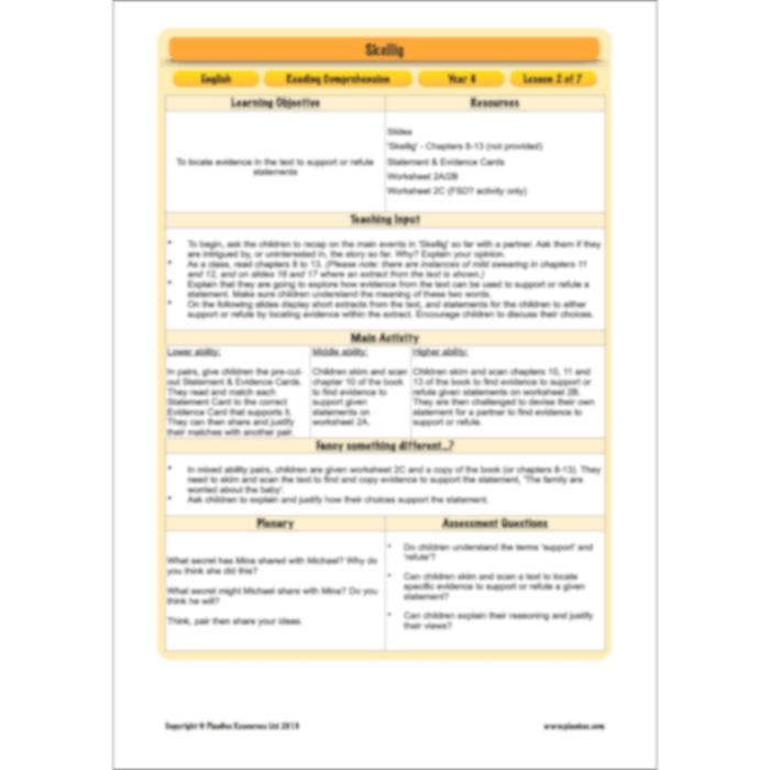 PlanBee Skellig: Reading Comprehension