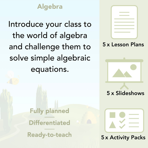 PlanBee Algebra: simple algebra lesson planning for Year 6