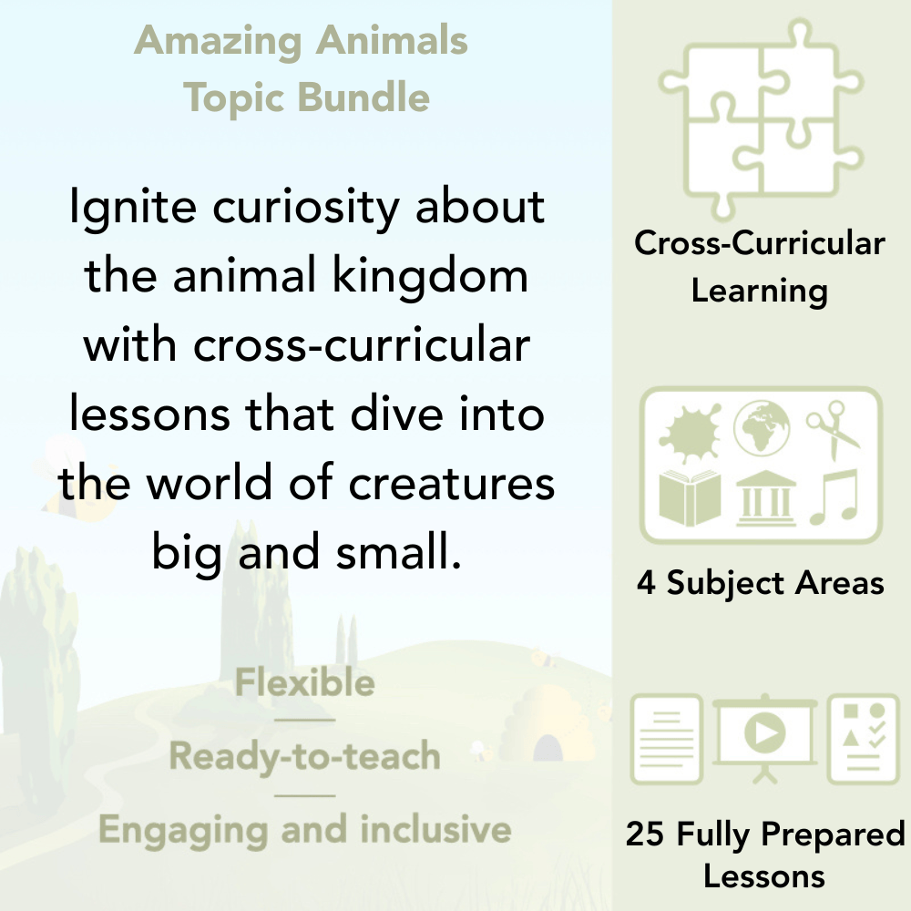 PlanBee Amazing Animals KS1 Topic Bundle by PlanBee