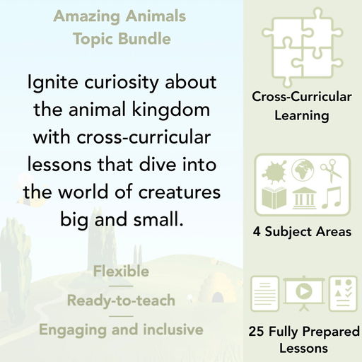 PlanBee Amazing Animals KS1 Topic Bundle by PlanBee